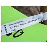 Swamp White Oak 3" caliper, Ball & Burlap