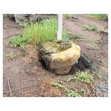 Redmond Linden Tilia Americana Redmond 2.5" caliper, Ball & Burlap SKU#1553