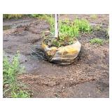 Redmond Linden Tilia Americana Redmond 2.5" caliper, Ball & Burlap SKU#1553