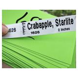 Crabapple Starlite 2" caliper, Ball & Burlap SKU#1626