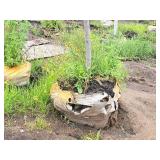 Bowhall Red Maple Acer Rebrum Bowhall 2.5" caliper, Ball & Burlap SKU#6411