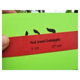 Red Jewel Crabapple 2" caliper, Ball & Burlap