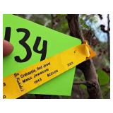 Crabapple Red Jewel Malus Jewelcole 2" caliper, Ball & Burlap SKU#1543