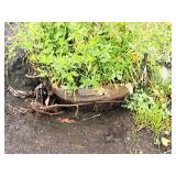 Crabapple Red Jewel Malus Jewelcole 2" caliper, Ball & Burlap SKU#1543