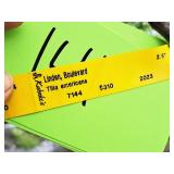 Boulevard Linden Tilia Americana 2.5" caliper, Ball & Burlap SKU#7144