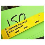 Crabapple Red Jewel Malus Jewelcole 2" caliper, Ball & Burlap SKU#1543