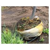 Boulevard Linden Tilia Americana 2.5" caliper, Ball & Burlap SKU#7144