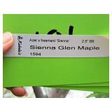 Sienna Glen Maple Acer x Freemanii 2.5" caliper, Ball & Burlap SKU#1594