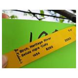 Birch Heritage River Betula Nigra 