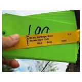 Birch Heritage River Betula Nigra 