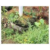 Maple Celebration 2.5" caliper, Ball & Burlap SKU#312