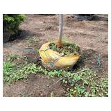 Serviceberry, Autumn Brilliance Amerlanchier x Grandiflora 2" caliper, Ball & Burlap SKU#7063