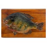 Collection of Vintage Fishing Reels and Lures