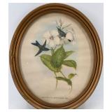 Vintage Hope Novelty Co. Bird Print in Frame and Red Wing Art Pottery Vase