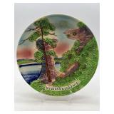 Vintage Wisconsin Dells Hand-Painted Plate and Antique Floral Photo Album