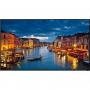 New in Box!  Panasonic TH-75CQE1WA Ultra High Definition UHD 75" Class 4K Commercial Monitor / Professional Display