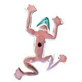 Colorful Mexican Talavera Style Ceramic Frog Decor