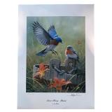 Limited Edition Print "Summer Morning Bluebirds" by Joseph Hautman