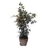 Artificial Ficus Tree in Decorative Pot