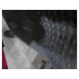 Connelly HP Graphite F973 Water sla... Connelly HP Graphite F973 Water sla...