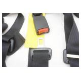 Seat Belts. 2 Sets