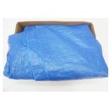 Blue Tarp