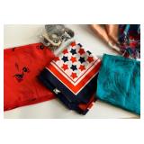 Colorful Assortment of Patterned Scarves and Shawls