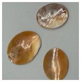 Set of 3 Carved Shell Cameos with Landscape Designs