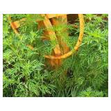 Cement Mixer Cement Mixer