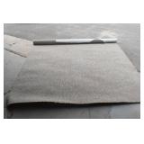 Carpet Remnant Carpet Remnant