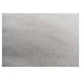 Carpet Remnant Carpet Remnant