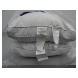 Set of 2 Sealy Standard/Queen Down Alternative Pillows