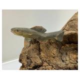 Vintage Hand Carved Wooden Sunfish And Minnows On Driftwood