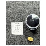 2.20 Gram Gold Nugget from Leadville, Colorado