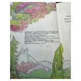 Lot of Vintage Disney Books