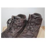 Irish Setter Men Irish Setter Men