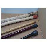 Walking Sticks and Canes Walking Sticks and Canes