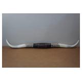 Resin Texas Long Horns Resin Texas Long Horns