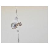 Richard M. Powers Mix Media Poster Signed & Numbered  ~ Prolific Science Fiction Illustrator Richard M. Powers Mix Media Poster Signed & Numbered  ~ Prolific Science Fiction Illustrator