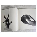 Gallery Quality Art Book Pair: Leonardo Nierman / Nierman: Genesis De Un Sueno Gallery Quality Art Book Pair: Leonardo Nierman / Nierman: Genesis De Un Sueno