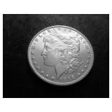 1896 Morgan Silver Dollar