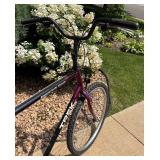 Trek Mountain Track 850 Bicycle