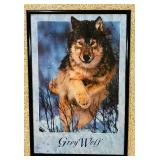 Stunning Grey Wolf Framed Poster