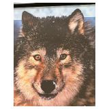 Stunning Grey Wolf Framed Poster