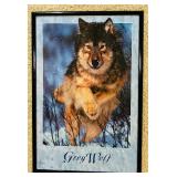 Stunning Grey Wolf Framed Poster