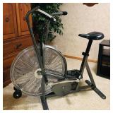 Schwinn Airdyne Pro Exercise Bike
