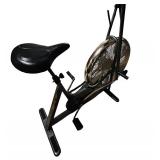 Schwinn Airdyne Pro Exercise Bike