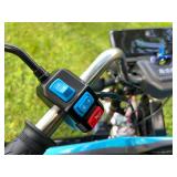 2025 3-Wheel Electric Tricycle Vehicle (IRET13) 2025 3-Wheel Electric Tricycle Vehicle (IRET13)