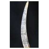SCRIMSHAW POSSIBLE WALRUS TUSK? SCRIMSHAW POSSIBLE WALRUS TUSK?