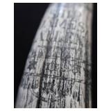 SCRIMSHAW POSSIBLE WALRUS TUSK? SCRIMSHAW POSSIBLE WALRUS TUSK?